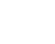 logo white